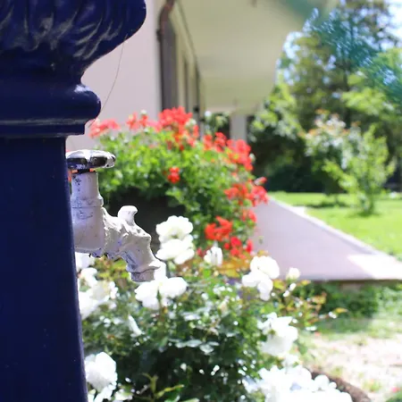 게스트하우스 L'alba Di Langa