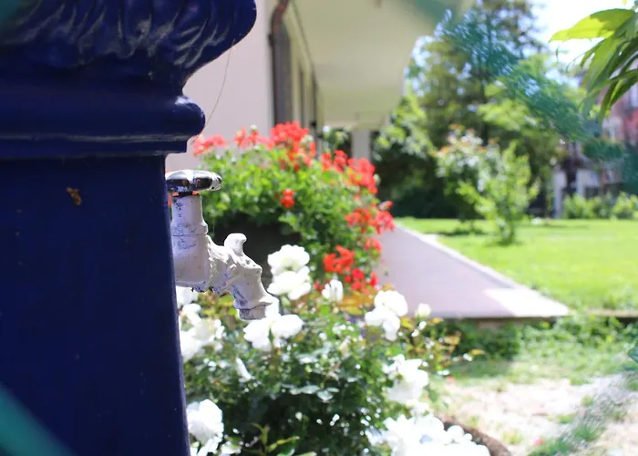 Гостевой дом L'alba Di Langa